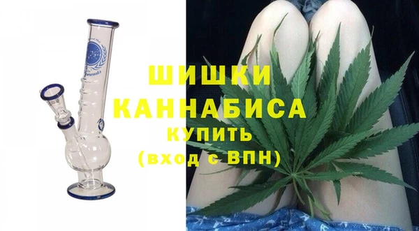 spice Инсар