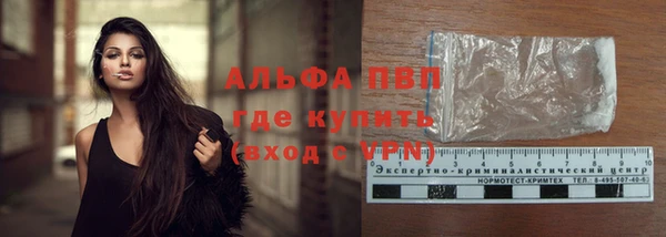 spice Инсар