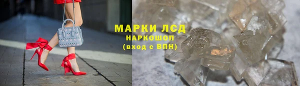 spice Инсар
