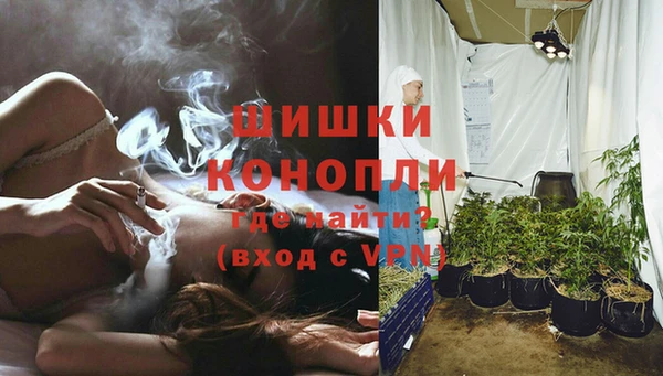spice Инсар