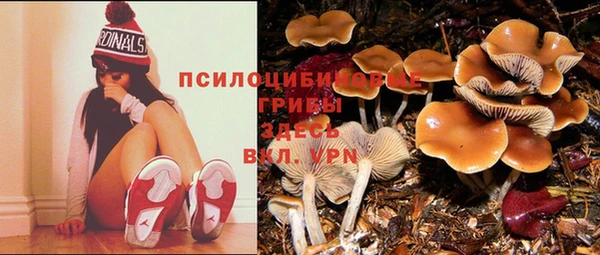MESCALINE Инта